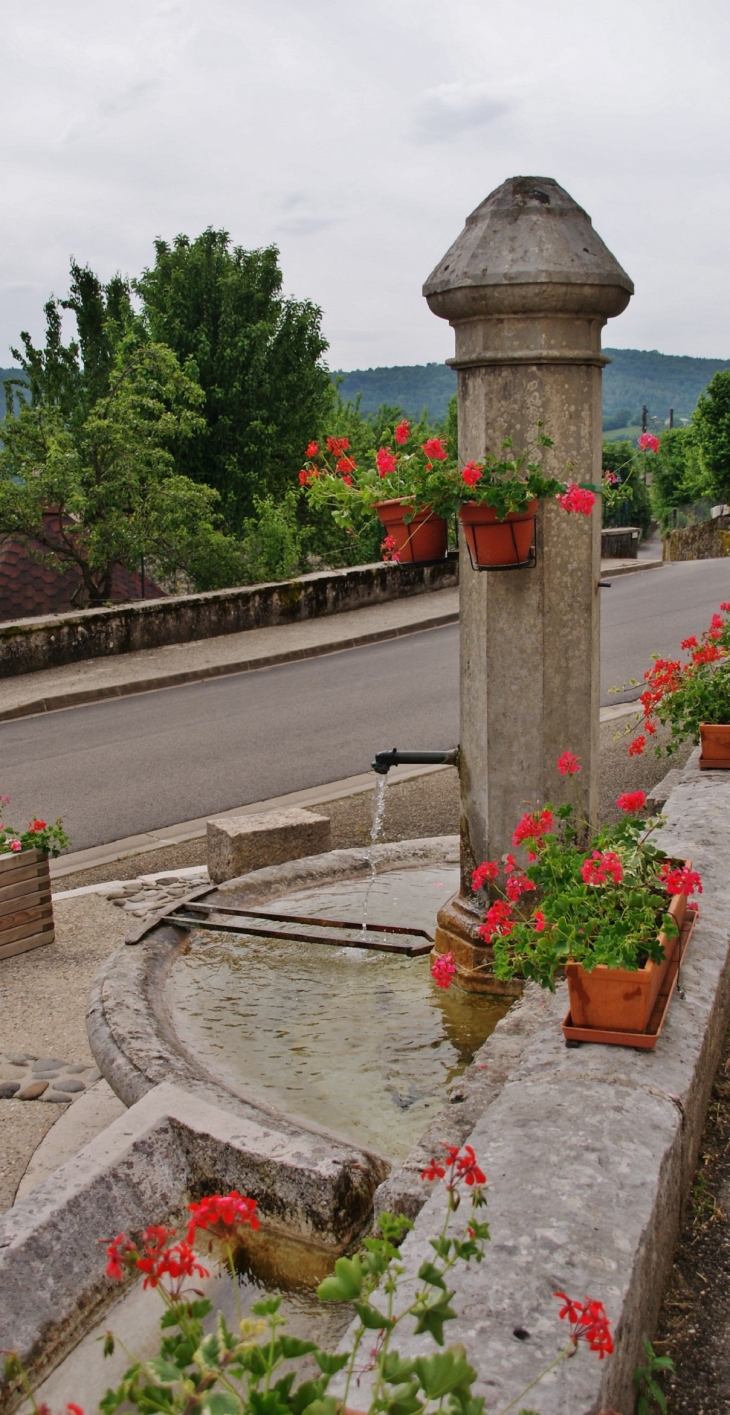 Fontaine - Nurieux-Volognat