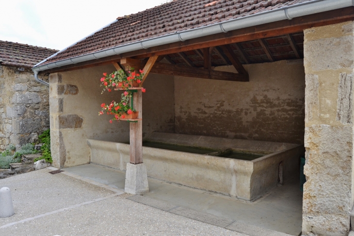 Mornay ( Commune de Nurieux-Volognat ) le Lavoir