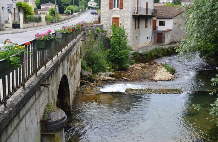 Pont sur le Veyron - Poncin