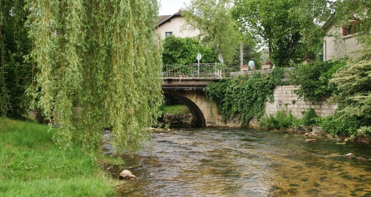 Pont sur le Veyron - Poncin