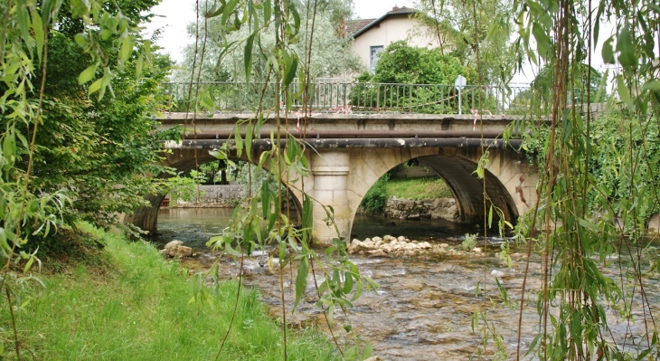 Pont sur le Veyron - Poncin