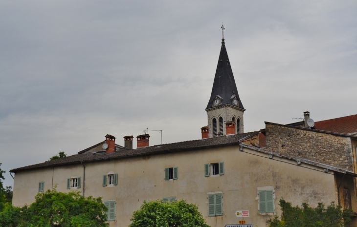 -église Saint-Martin - Poncin