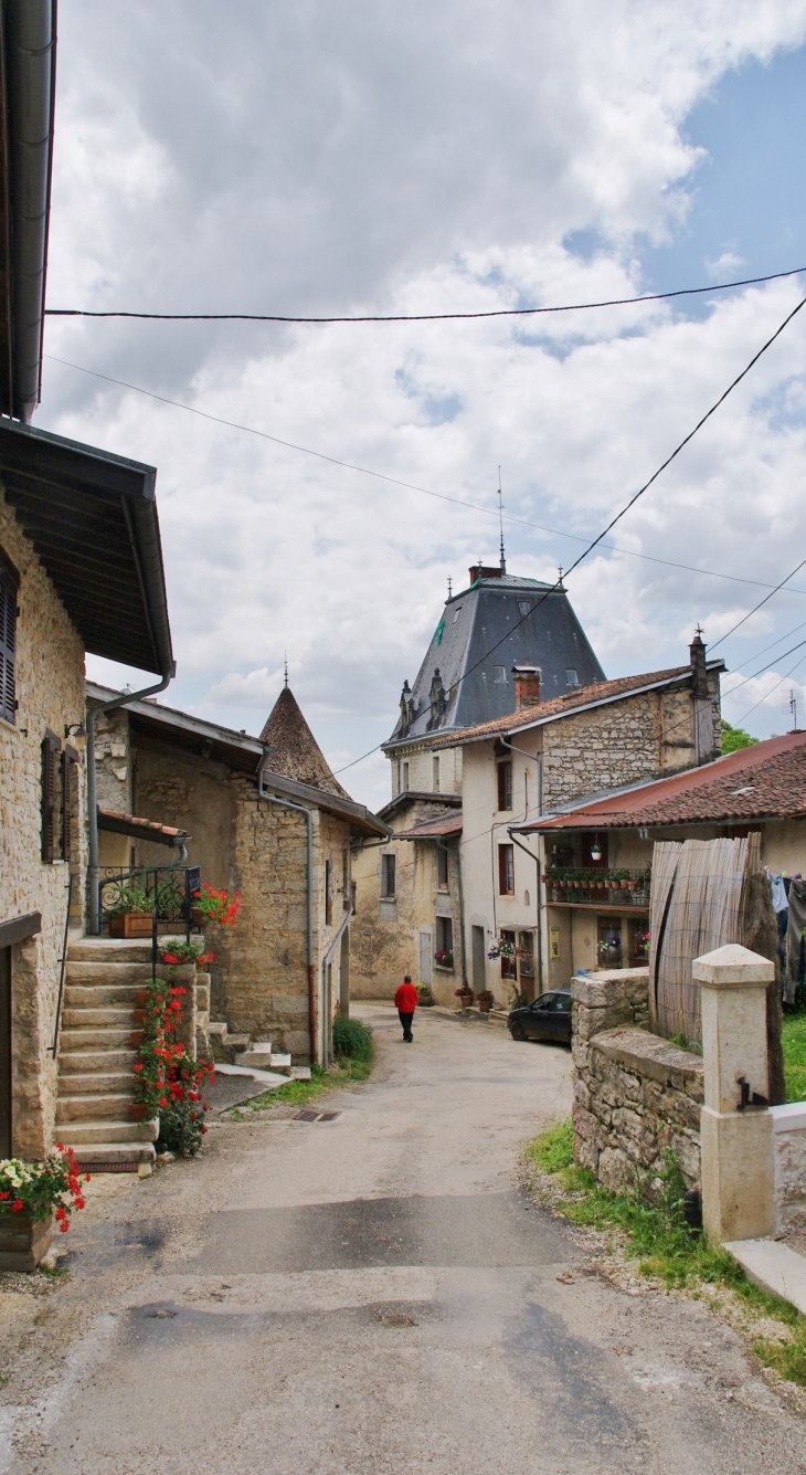 La Ceuille commune de Poncin