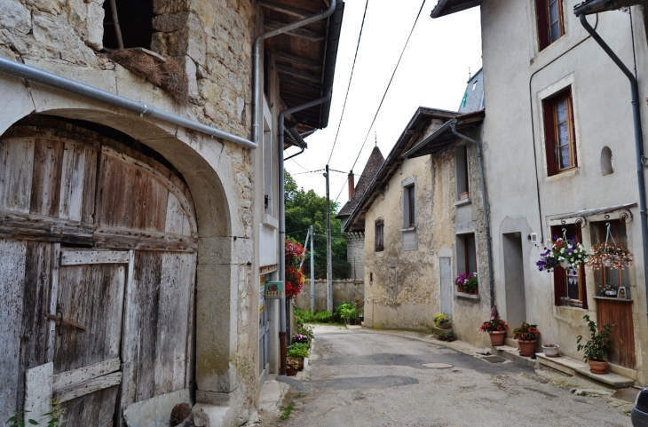 La Ceuille commune de Poncin