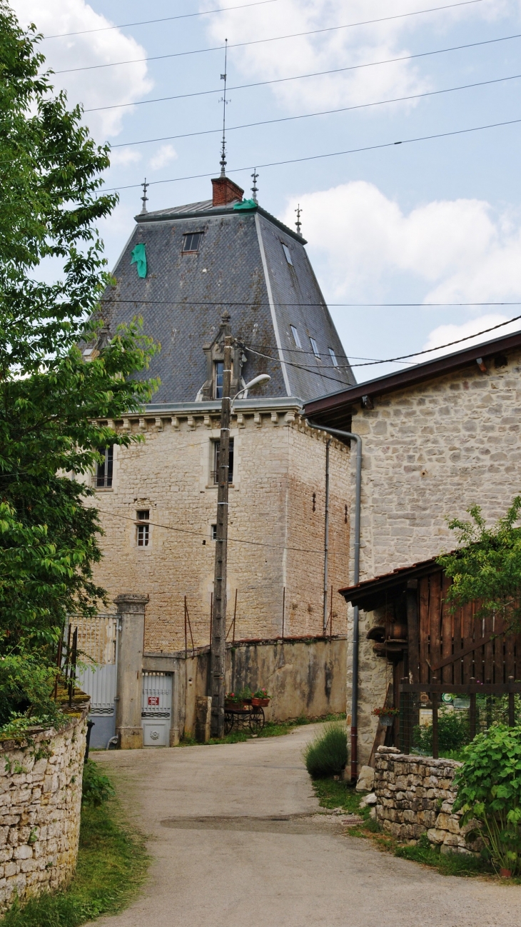 &&Château de La Ceuille - Poncin