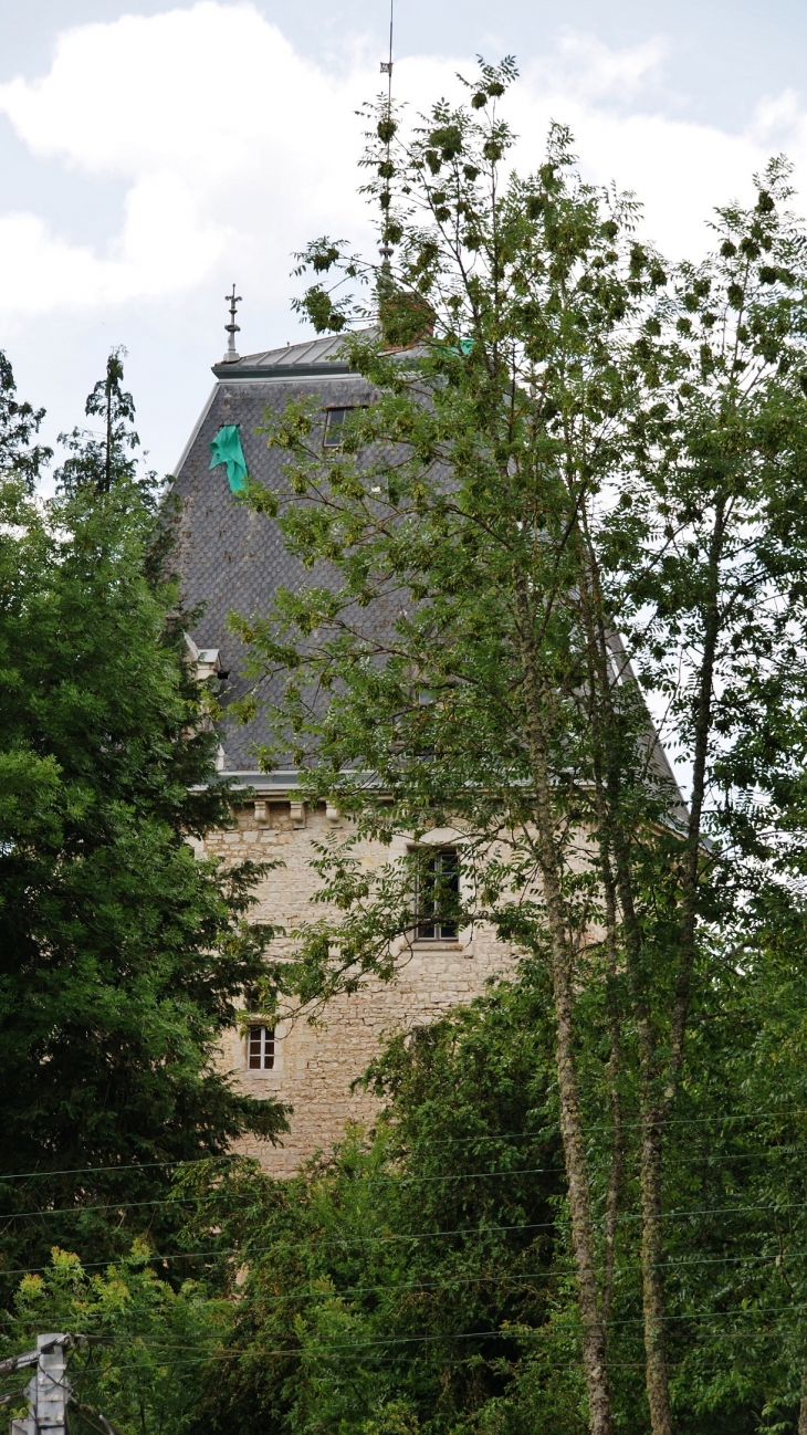 &&Château de La Ceuille - Poncin