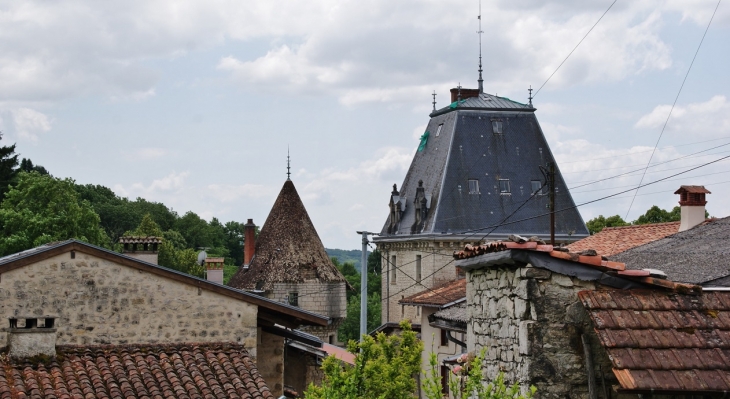 &&Château de La Ceuille - Poncin