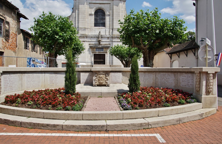 Monument-aux-Morts - Pont-de-Veyle