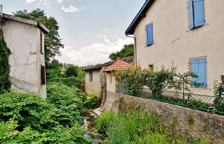 La Petite Veyle - Pont-de-Veyle