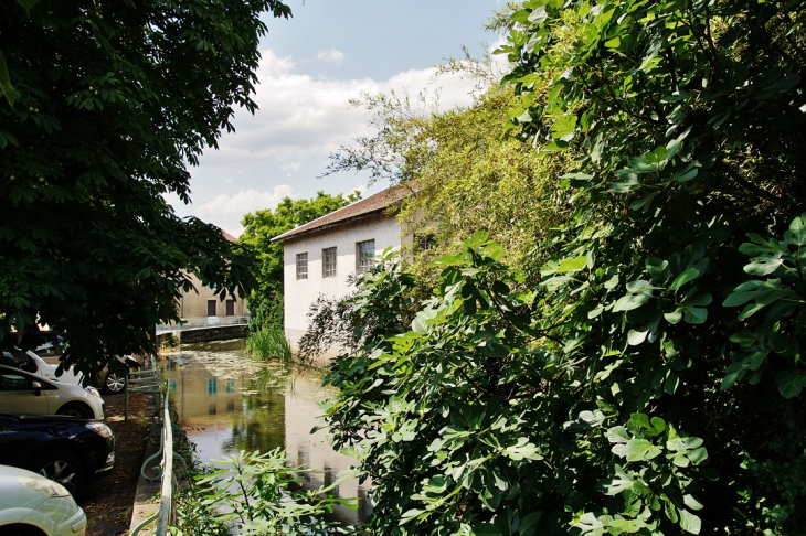 La Petite Veyle - Pont-de-Veyle