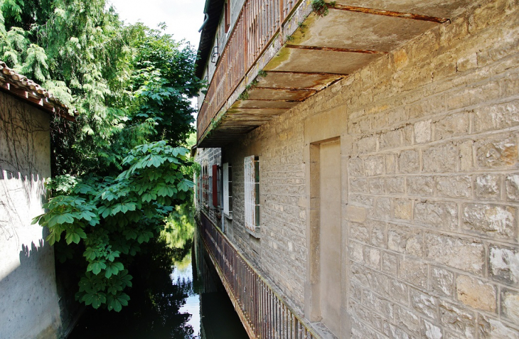 La Petite Veyle - Pont-de-Veyle