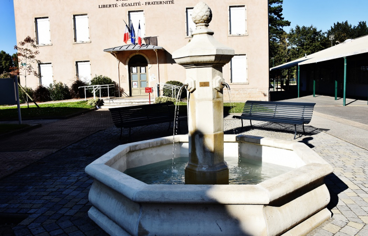 Fontaine - Saint-Didier-sur-Chalaronne