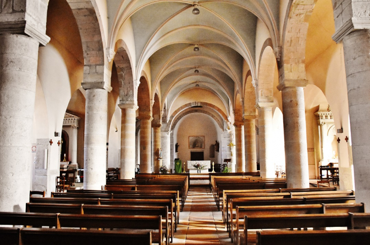  +église Saint-Didier - Saint-Didier-sur-Chalaronne