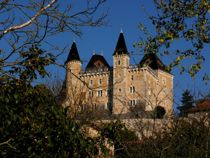 Chateau de Varey - Saint-Jean-le-Vieux