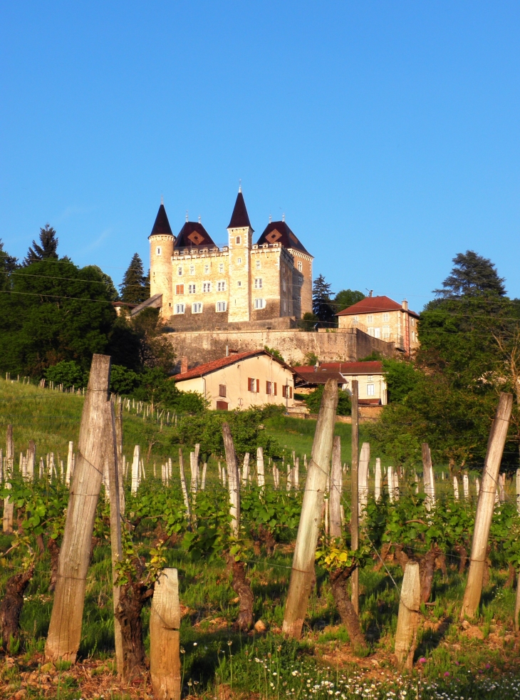 Chateau de Varey © Vincent Allard - Saint-Jean-le-Vieux