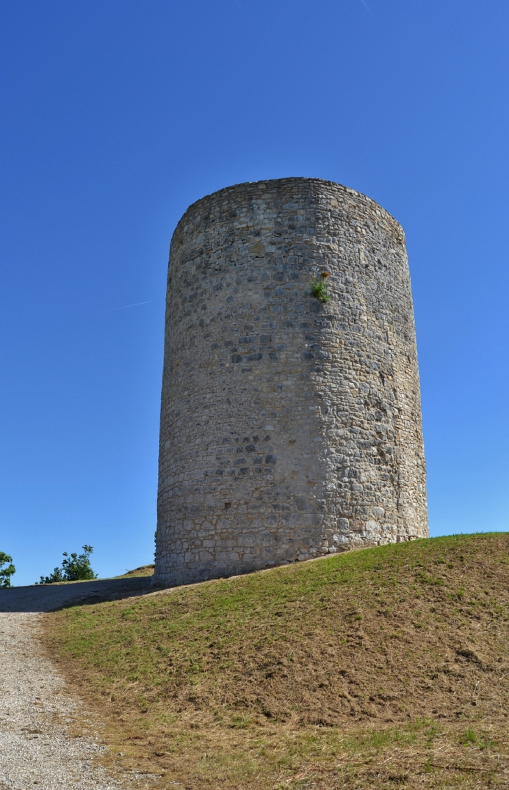 Tour-renovée -du-chateau-de-st-martin-du-fresne - Saint-Martin-du-Frêne