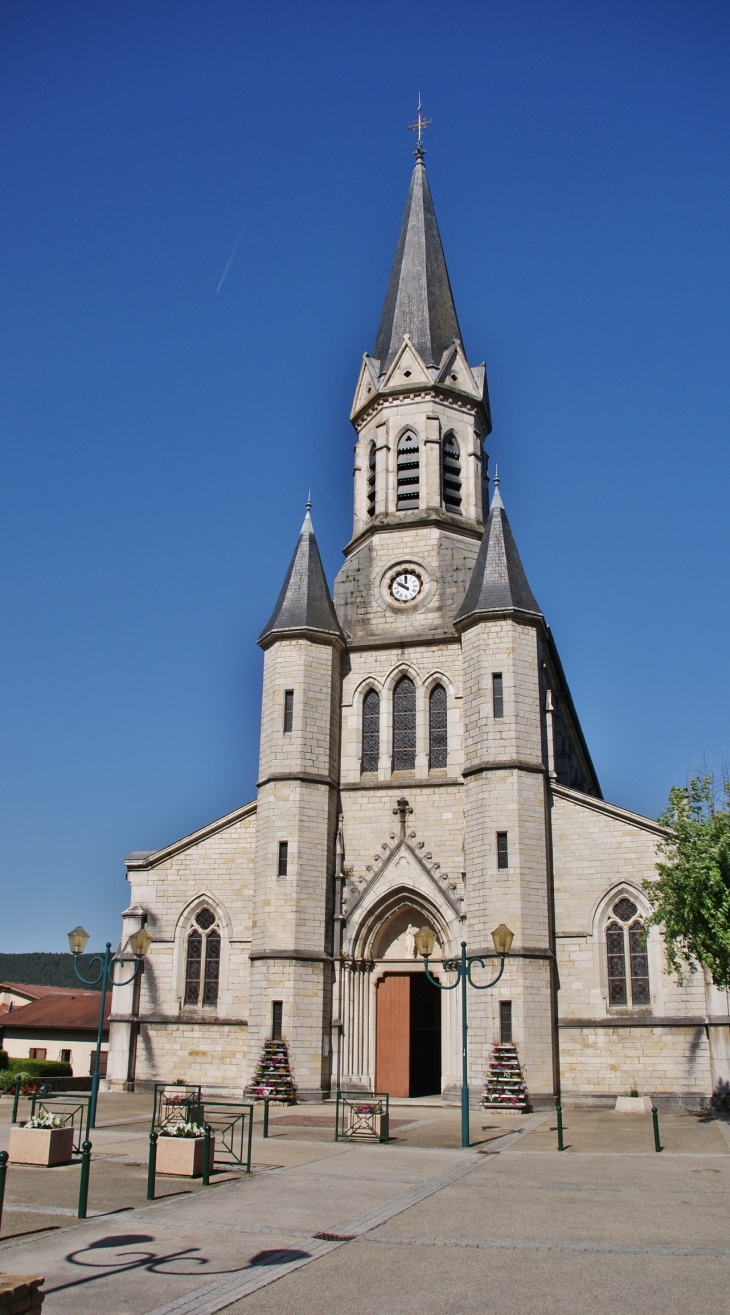 *-église Saint-Martin - Saint-Martin-du-Frêne