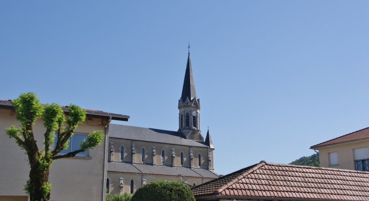 *-église Saint-Martin - Saint-Martin-du-Frêne