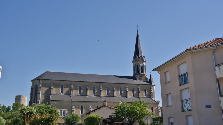 *-église Saint-Martin - Saint-Martin-du-Frêne