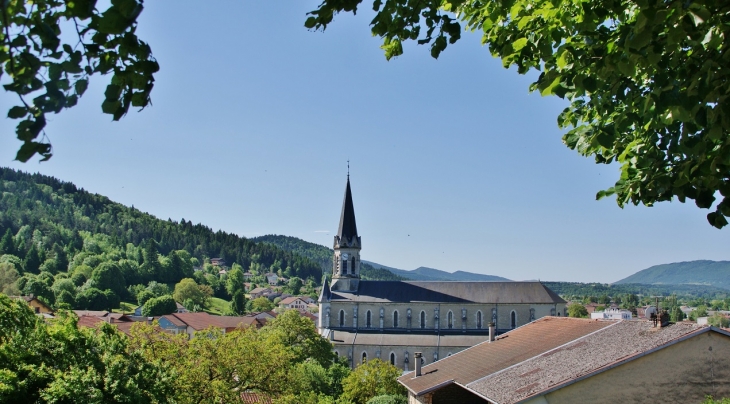 *-église Saint-Martin - Saint-Martin-du-Frêne