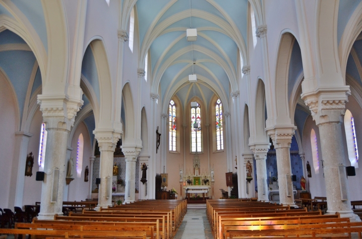 *-église Saint-Martin - Saint-Martin-du-Frêne