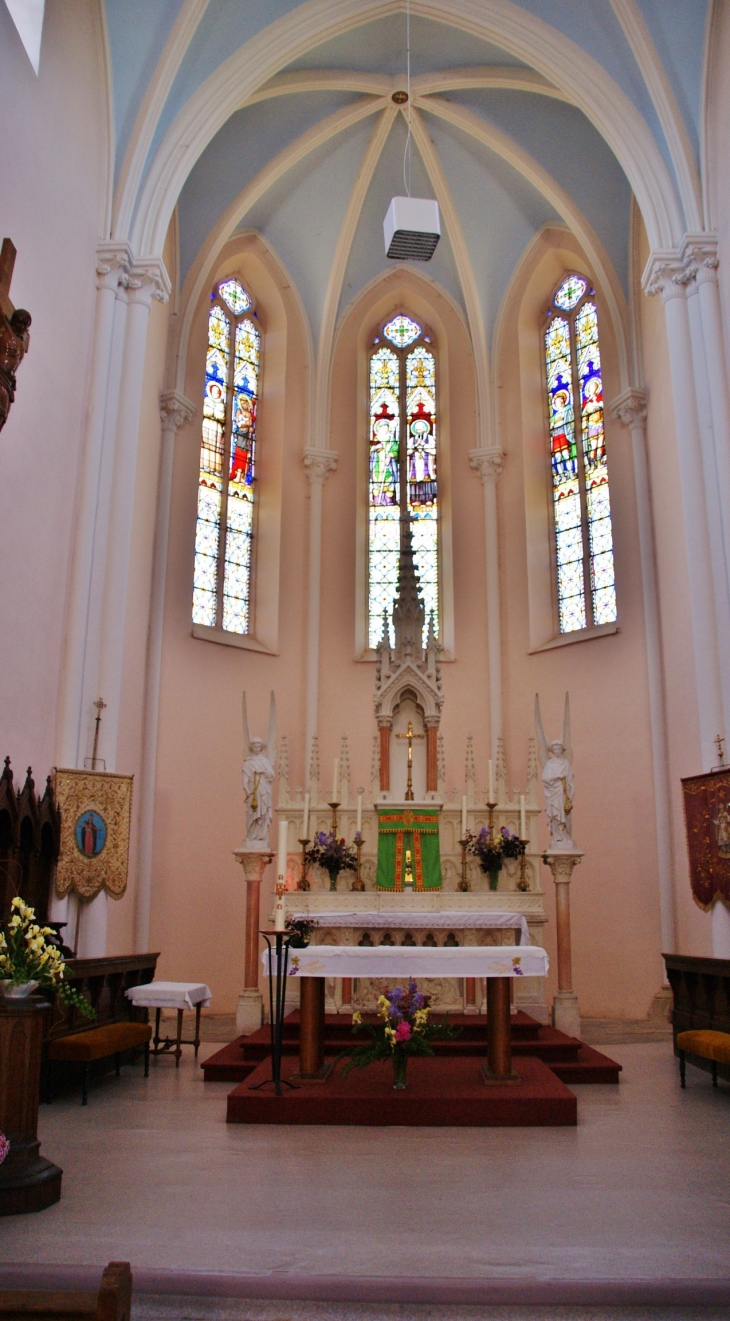 *-église Saint-Martin - Saint-Martin-du-Frêne