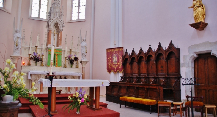 *-église Saint-Martin - Saint-Martin-du-Frêne