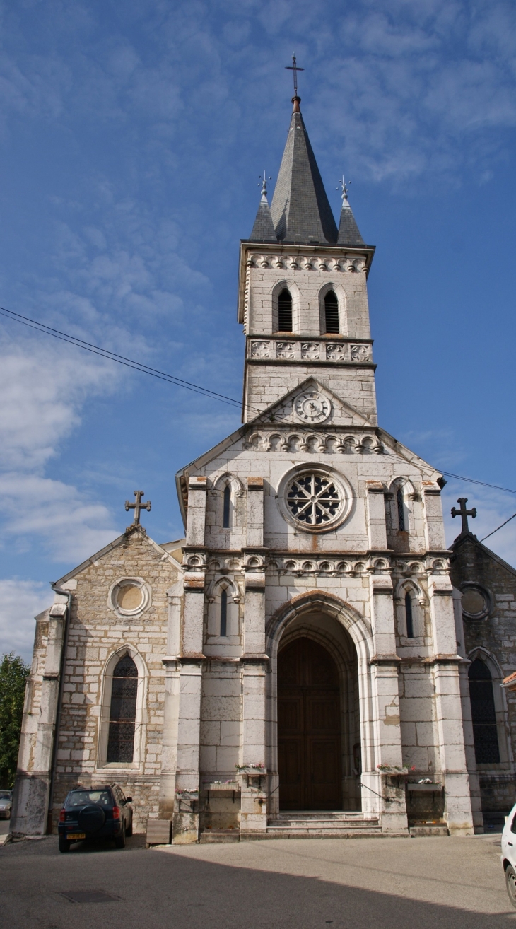 -église Saint-Martin - Saint-Martin-du-Mont