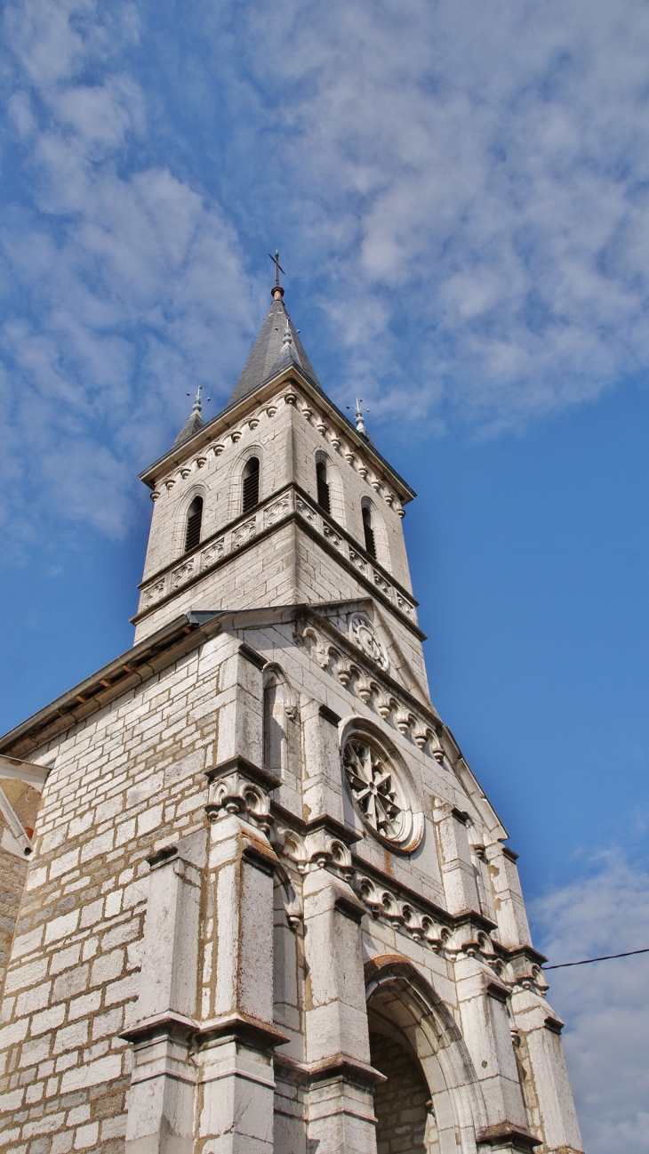 -église Saint-Martin - Saint-Martin-du-Mont