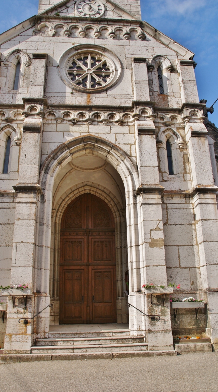 -église Saint-Martin - Saint-Martin-du-Mont