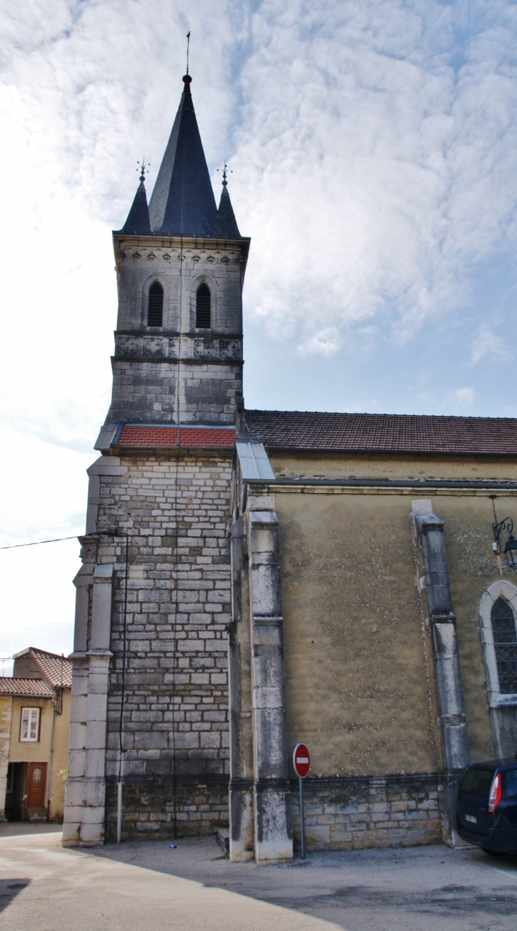 -église Saint-Martin - Saint-Martin-du-Mont