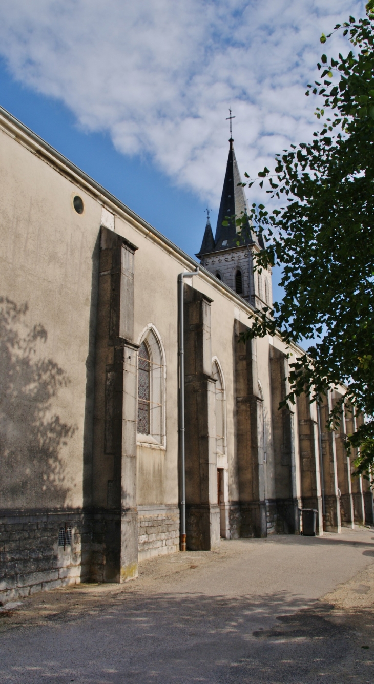 -église Saint-Martin - Saint-Martin-du-Mont