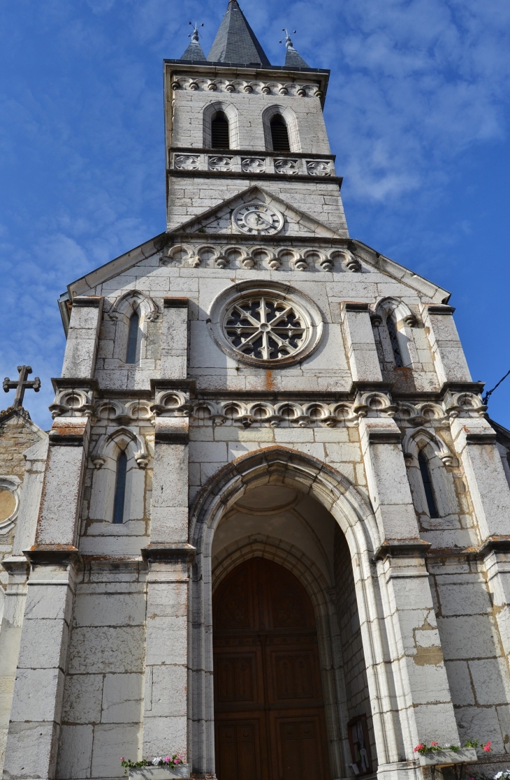 -église Saint-Martin - Saint-Martin-du-Mont