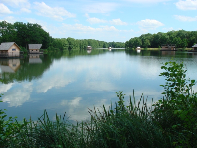 Domaine-de-la-dombes  - Saint-Paul-de-Varax