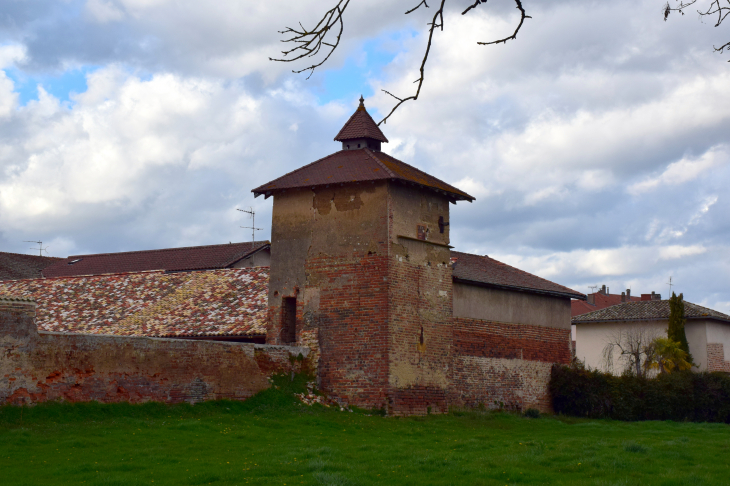 Pigeonnier - Saint-Trivier-sur-Moignans