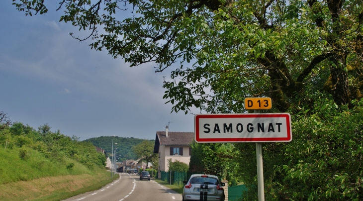  - Samognat