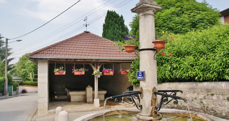 Fontaine et Lavoir - Samognat