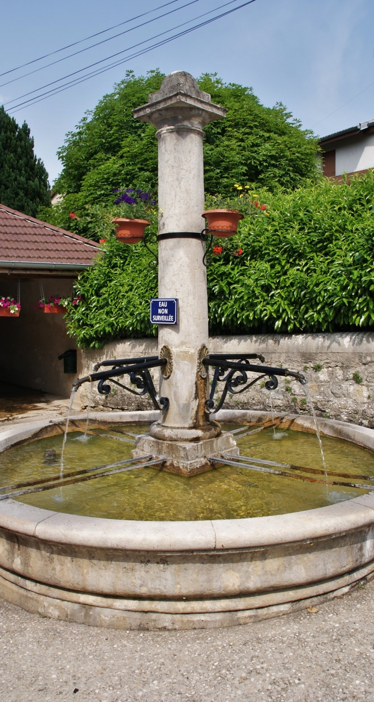 Fontaine - Samognat