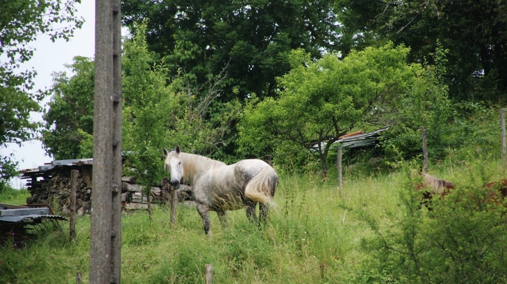  - Serrières-sur-Ain