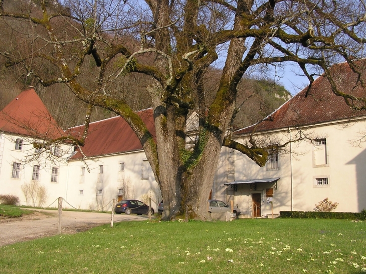 Chartreuse de Sélignac - Simandre-sur-Suran