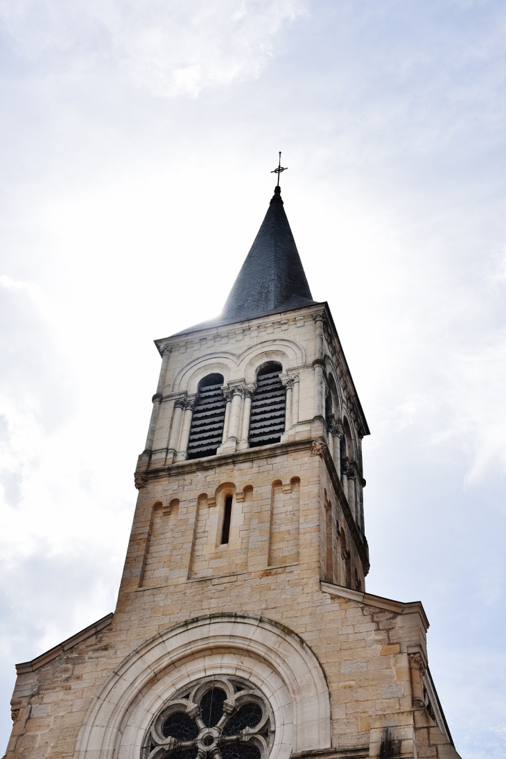 église Ste Madeleine - Thoissey