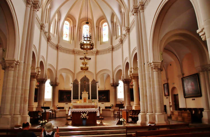 église Ste Madeleine - Thoissey