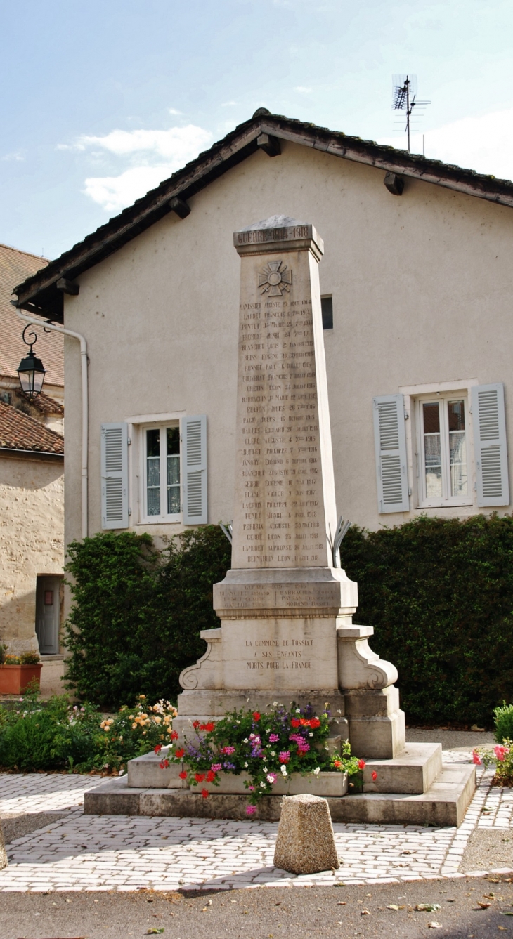 Monument aux Morts - Tossiat