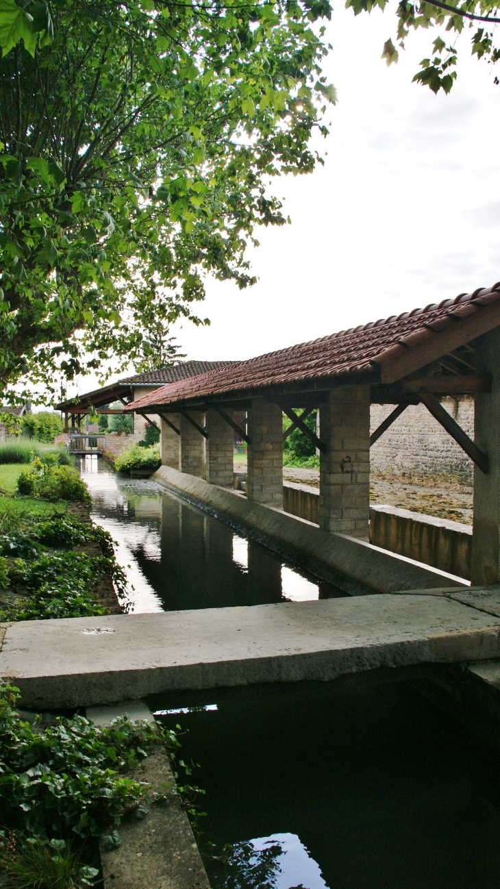 Le Lavoir - Tossiat