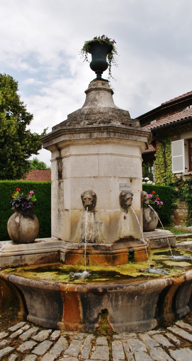 Fontaine - Treffort-Cuisiat