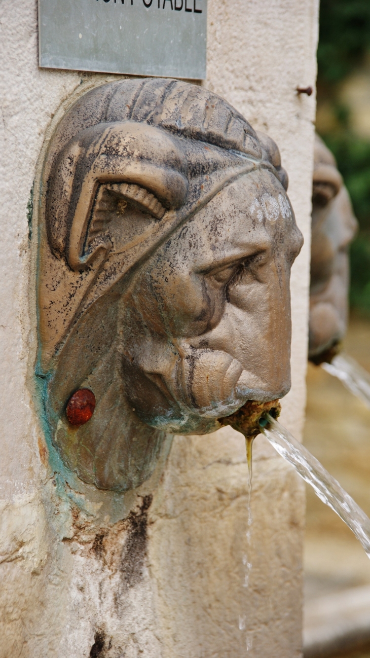 Fontaine ( Détail ) - Treffort-Cuisiat