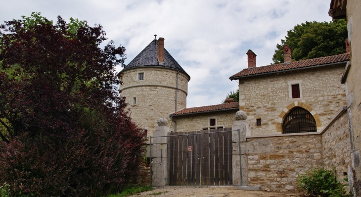 (Château de Treffort) - Treffort-Cuisiat