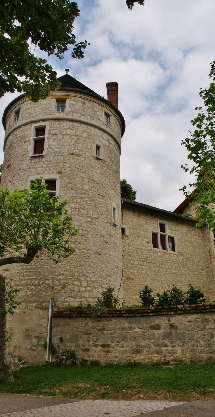 (Château de Treffort) - Treffort-Cuisiat