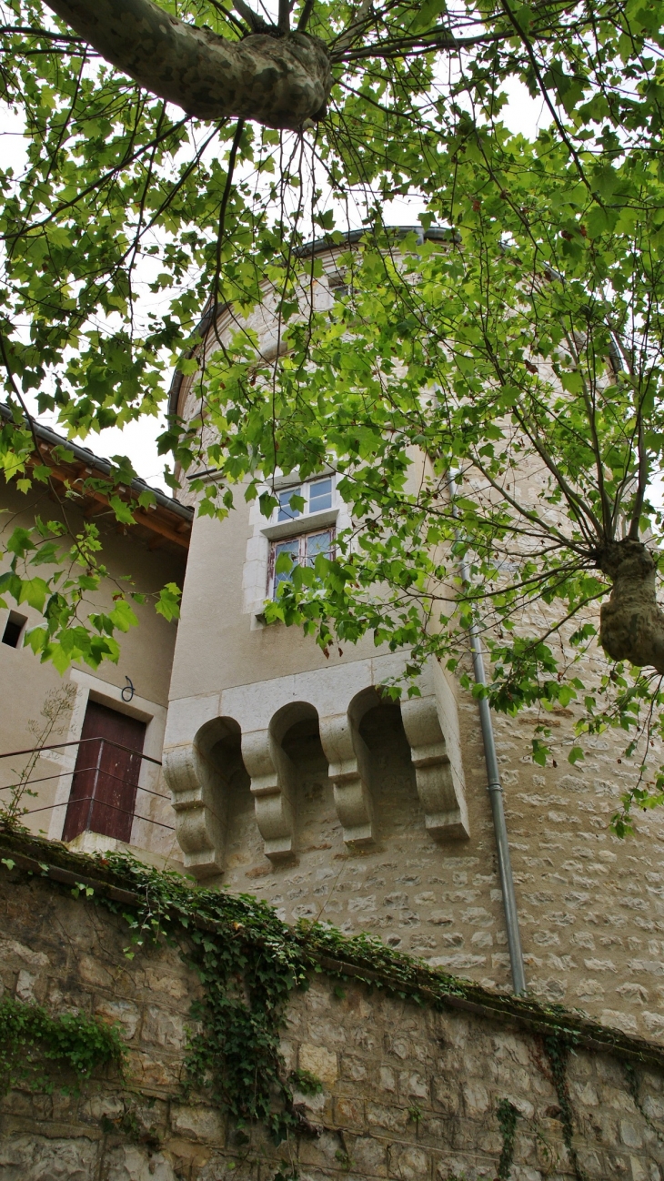 (Château de Treffort) - Treffort-Cuisiat