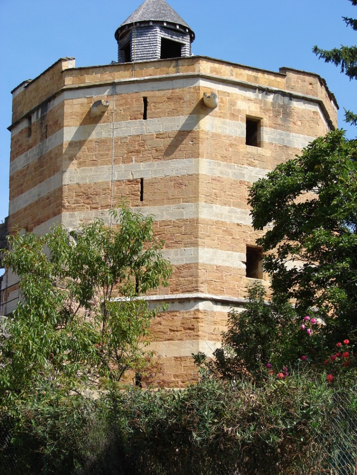 Le Donjon du Château - Trévoux